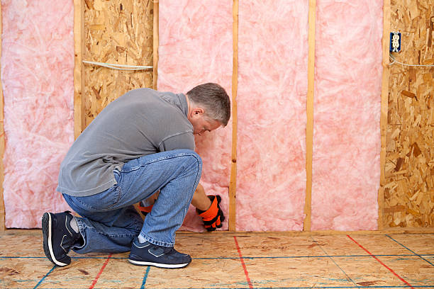 Best Residential Insulation in Wabasso, FL