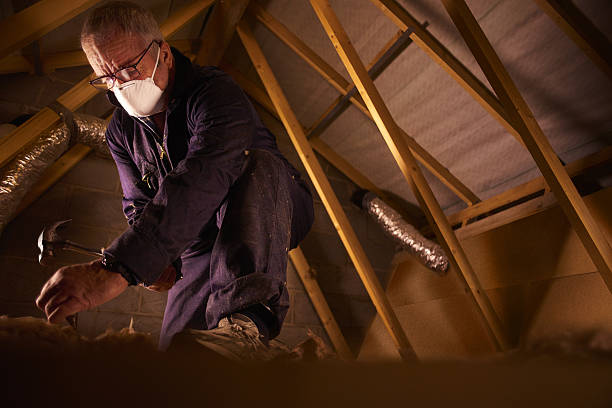 Best Specialty Insulation in Wabasso, FL